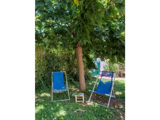 Casa per le vacanze Terrasini Ambiente 34