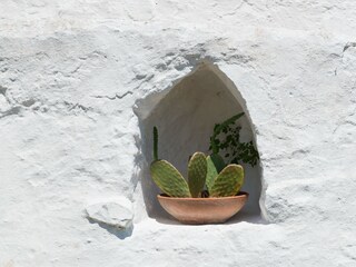 Casa per le vacanze Ostuni  31