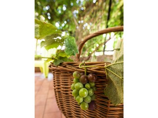 Appartamento Sferracavallo  20