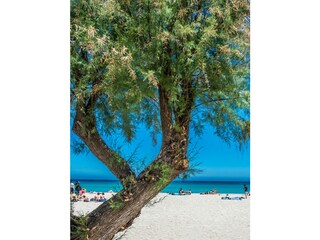 Apartamento Sferracavallo Grabación al aire libre 4