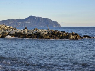 Appartamento Genua  34