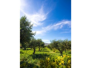 Apartamento Castellammare del Golfo Entorno 7