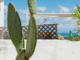 Appartement Ostuni Omgeving 23