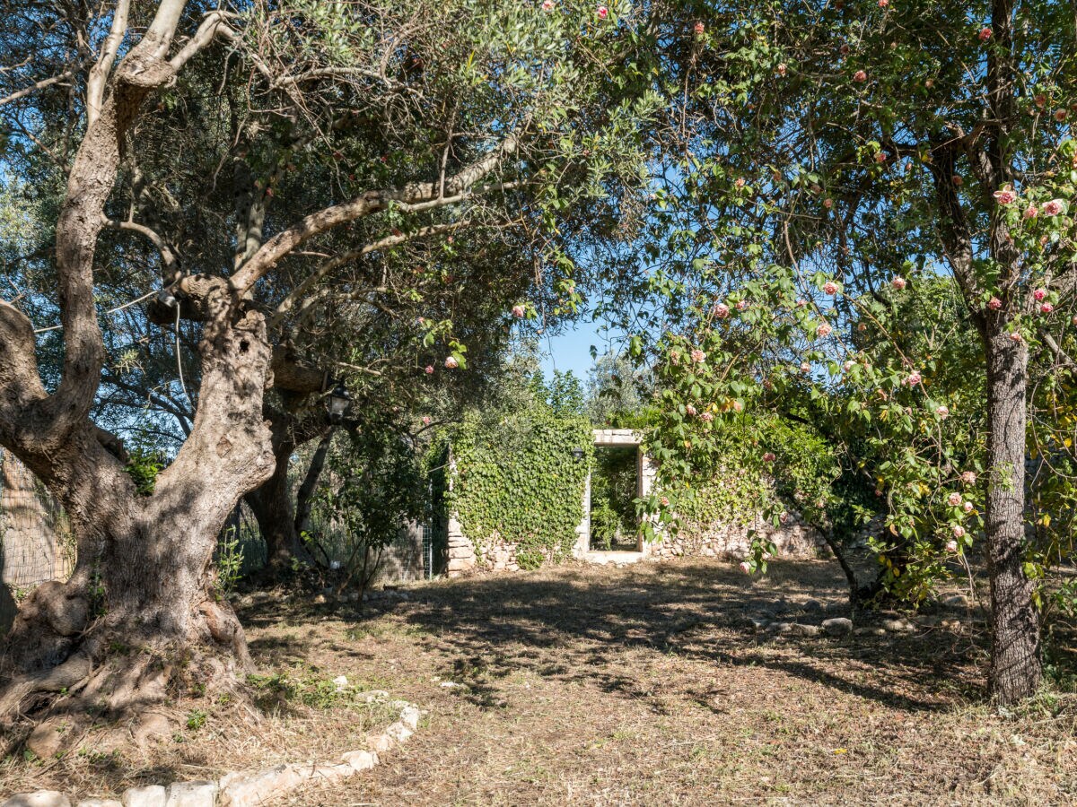 Apartment Martina Franca Umgebung 27