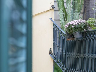 Appartement Genua  23