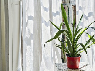 Apartment Genua  24