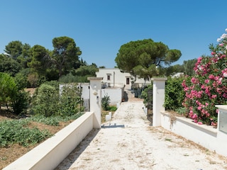 Holiday house Ostuni Outdoor Recording 4