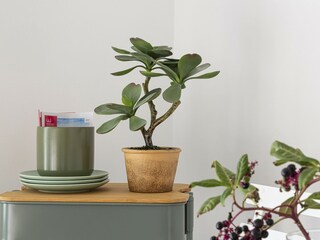 Appartamento Genua  21