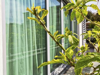 Appartamento Genua Registrazione all'aperto 2