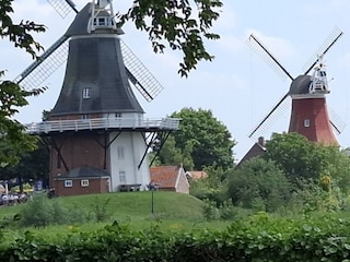 Blick von der Terasse