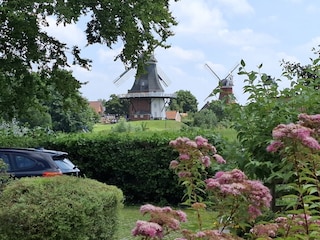 Blick von der Terrasse