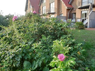 Residenza Deutschland Registrazione all'aperto 4