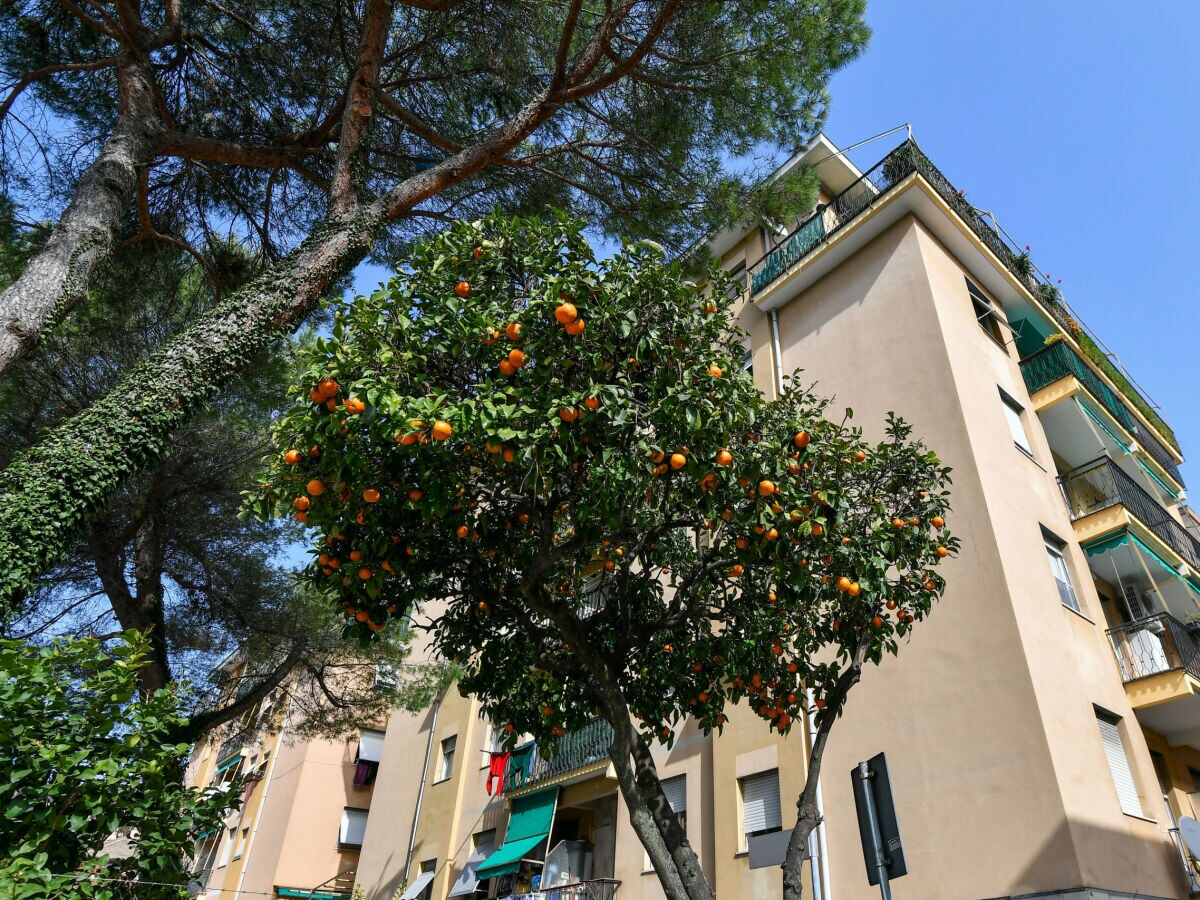 Apartment Santa Margherita Ligure Außenaufnahme 2