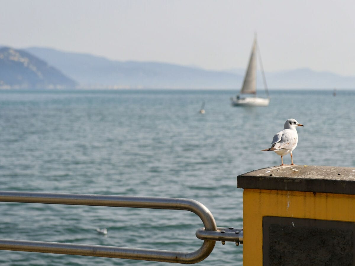 Apartment Santa Margherita Ligure Außenaufnahme 7