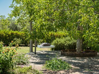 Villa Ostuni Environment 34