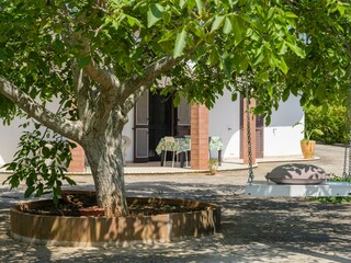 Villa Ostuni Environment 30