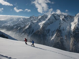 Appartamento per vacanze Hippach Ambiente 24
