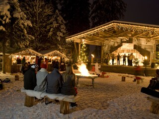 Appartamento per vacanze Hippach Ambiente 27