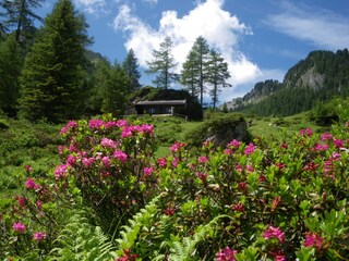 Appartamento per vacanze Hippach Ambiente 25