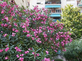 Appartamento Genua Registrazione all'aperto 5