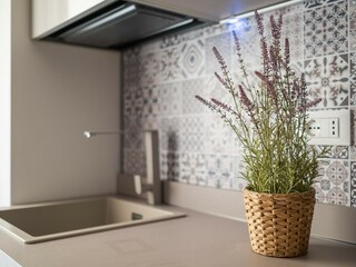 Apartment Bologna (Stadt) Ausstattung 8
