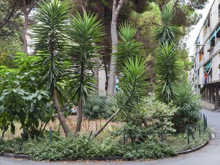 Appartamento Genua Ambiente 21