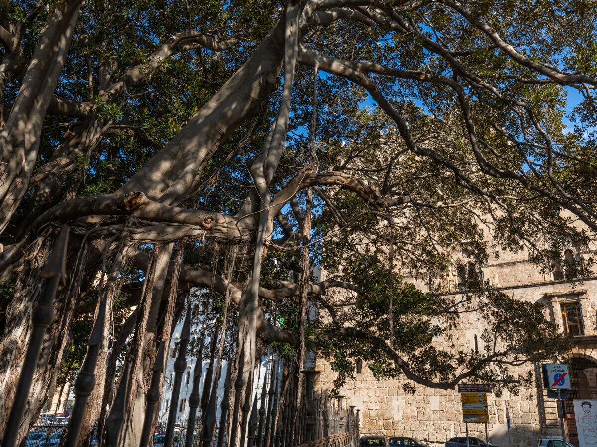 Apartamento Palermo Grabación al aire libre 1