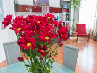 Appartamento Turin  27