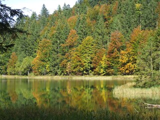 Holiday apartment Inzell Environment 9