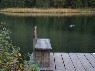 Ruhe am Falkensee