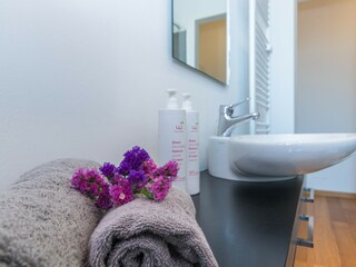 Appartamento Turin Caratteristiche 21