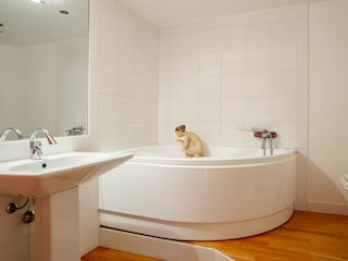 Apartamento Syrakus Características 24