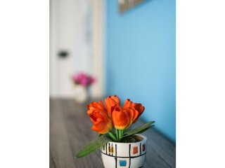 Appartamento Bologna (Stadt) Caratteristiche 18