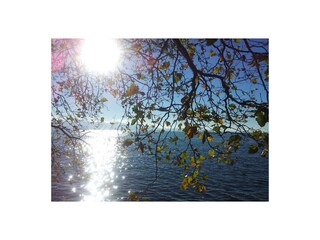 Holiday house Stetten (Bodensee) Outdoor Recording 11