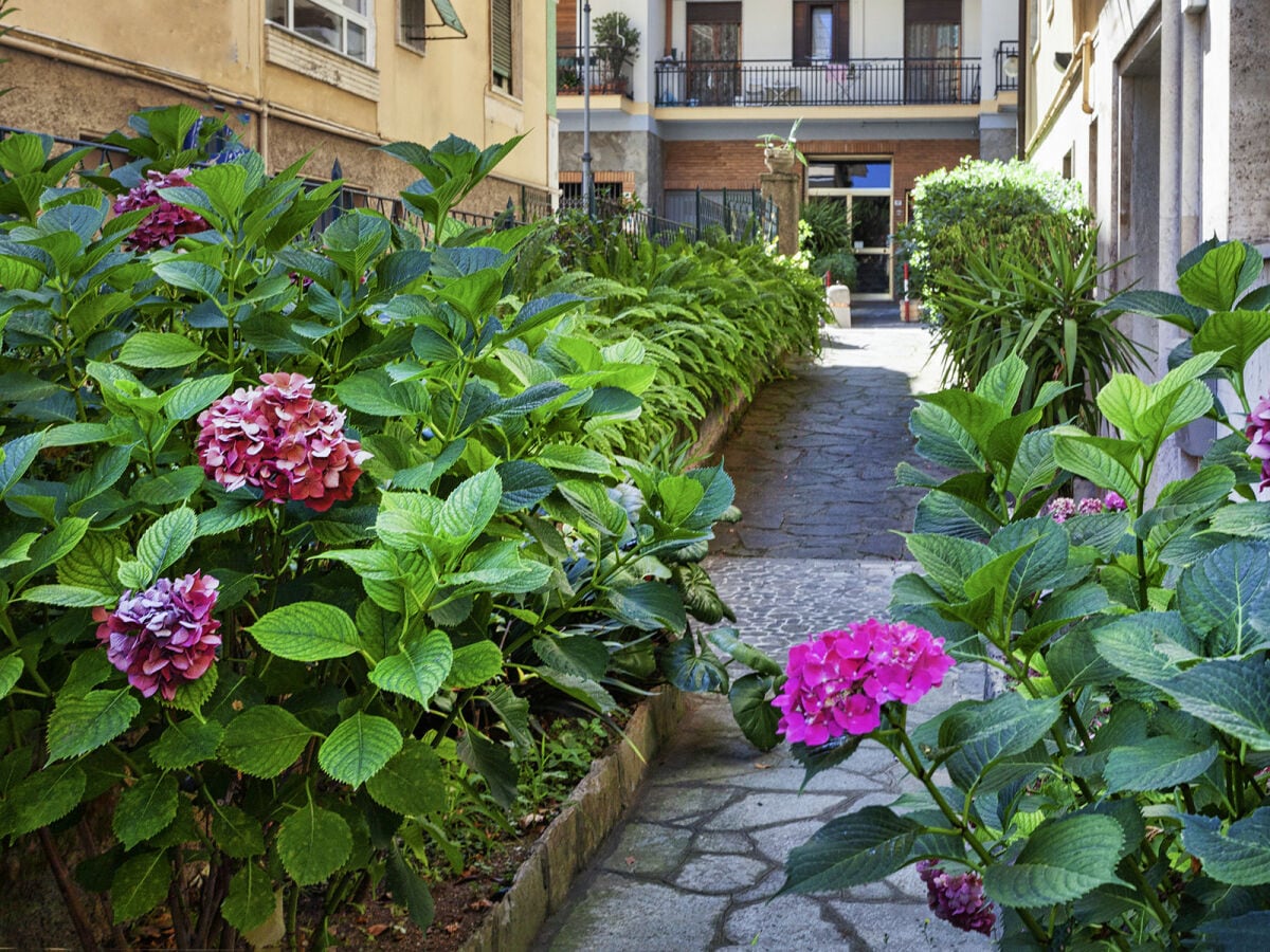 Apartment Rapallo Außenaufnahme 2