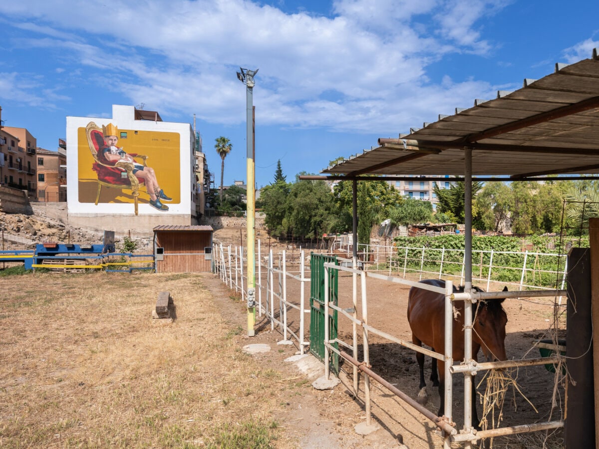 Ferienhaus Palermo Außenaufnahme 3