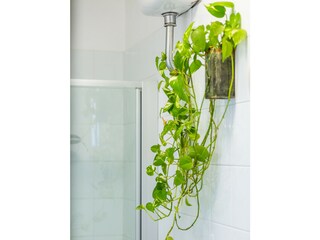 Apartment Neapel Features 34