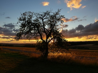 Abendstimmung unweit des Fachwerkhofs