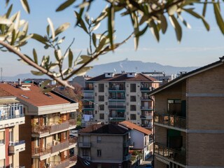 Apartment Turin Outdoor Recording 3