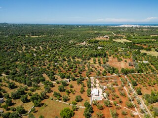 Villa San Michele Salentino Ambiente 33