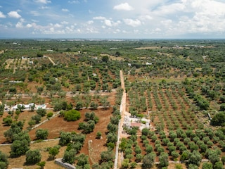 Villa San Michele Salentino Außenaufnahme 12