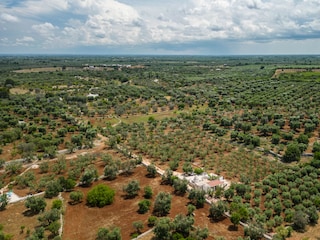 Villa San Michele Salentino Outdoor Recording 19