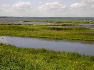 Landschaft