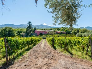 Holiday house Terrazze dell'Etna - Country room 2 - CM - Randazzo - image1