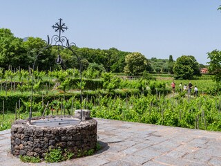 Vakantiehuis Randazzo Omgeving 19