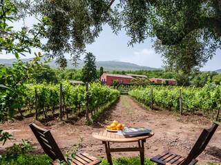 Vakantiehuis Randazzo Omgeving 24