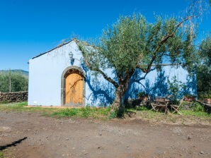 Terrazze dell'Etna - Appartement de campagne 4 - CM - Randazzo - image1