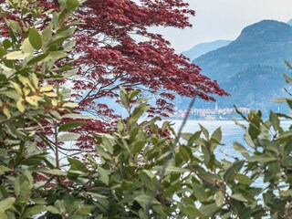 Apartamento Griante-Cadenabbia Entorno 27