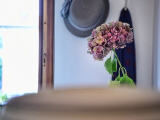 Apartment Limonta  42