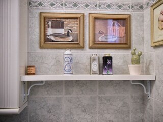 Apartment Limonta  46